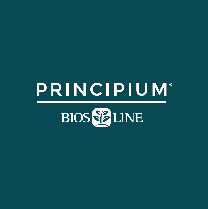 Principium